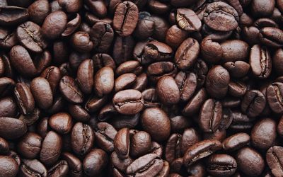 Bahaya Meminum Kopi setiap Hari